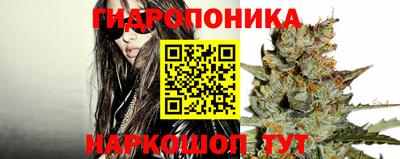 apvp Будённовск