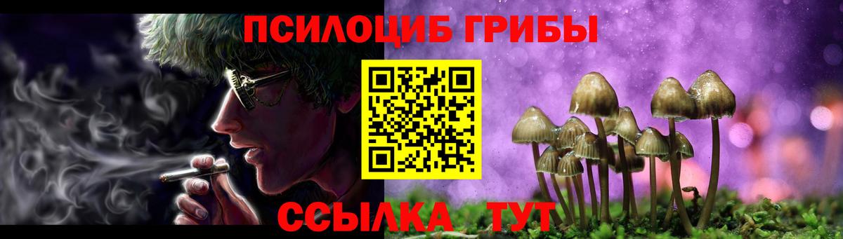 Псилоцибиновые грибы MAGIC MUSHROOMS  цены   Менделеевск  Вход с VPN 